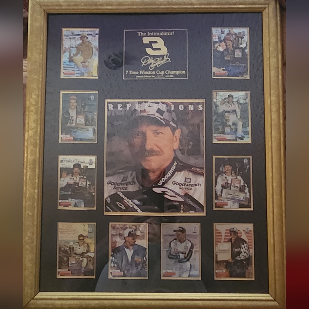 Dale Earnhardt " Reflections"